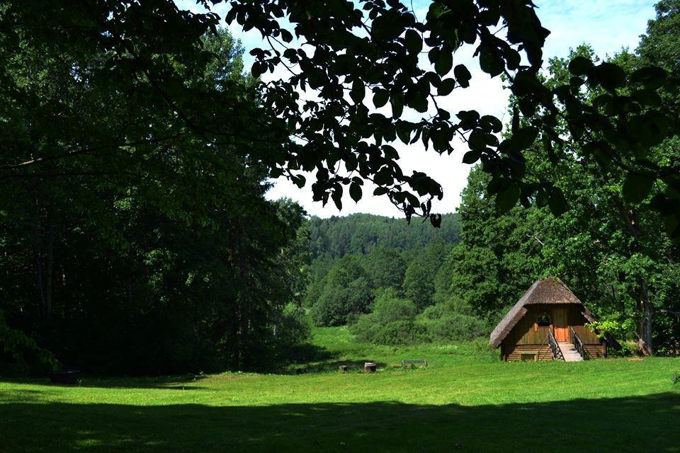 Väike palkmaja ja avar rohelus Lasita Puhkemaja territooriumil Tartumaal, taustal metsane Kavilda ür