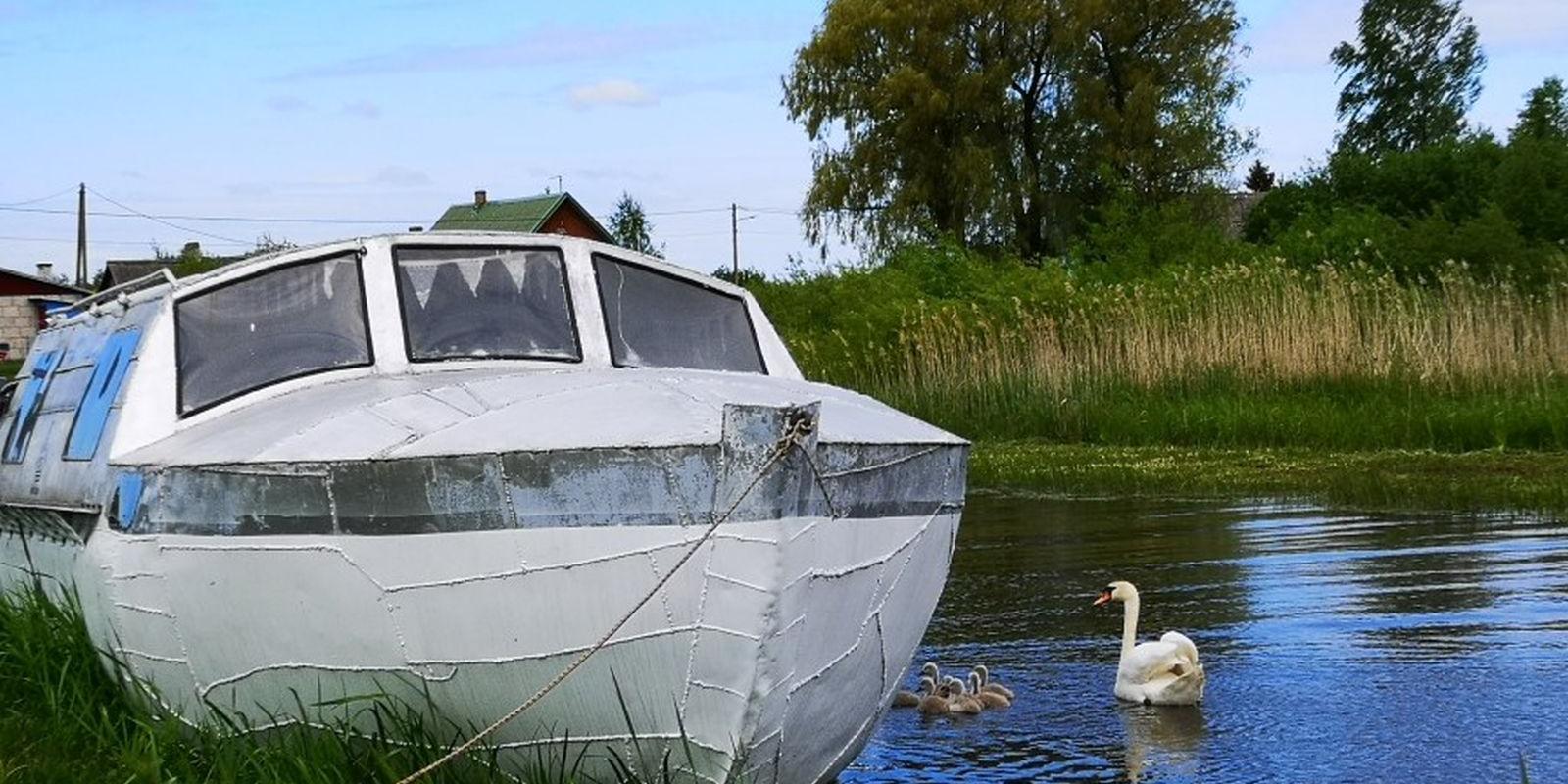 Accommodation in a sauna boat on Lake Peipus: MesiSpa and a swan with babies