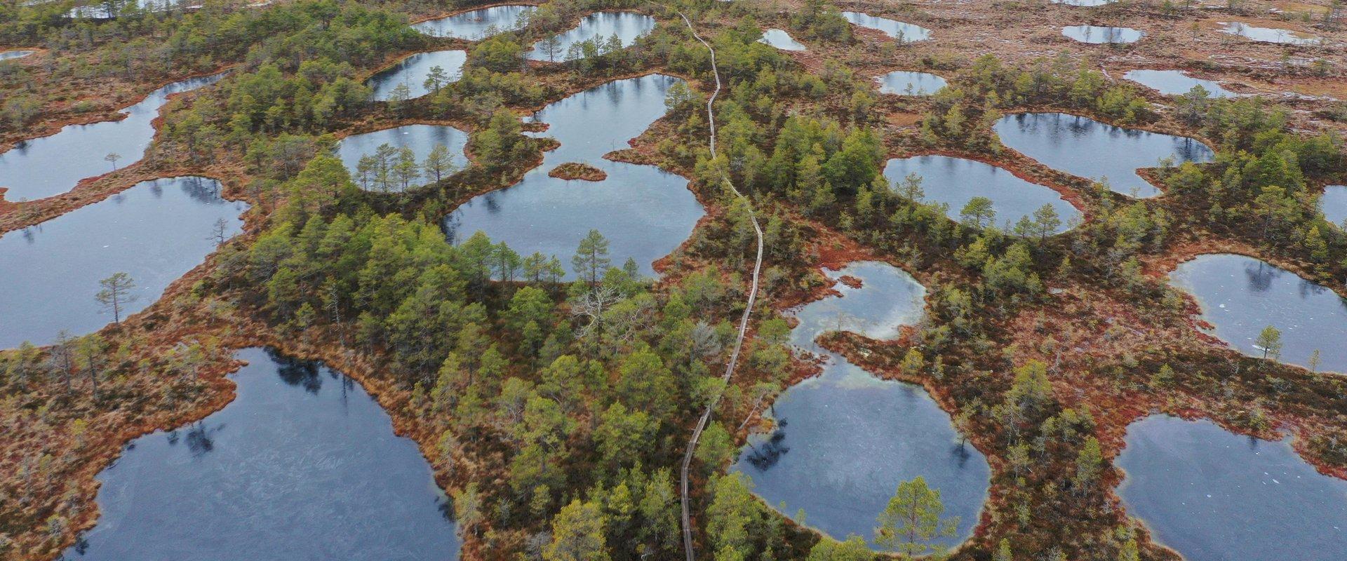 Walking in a bog with snowshoes creates an unearthly feeling – you are basically walking on water. Kõnnu Suursoo bog and the surrounding eskers have f
