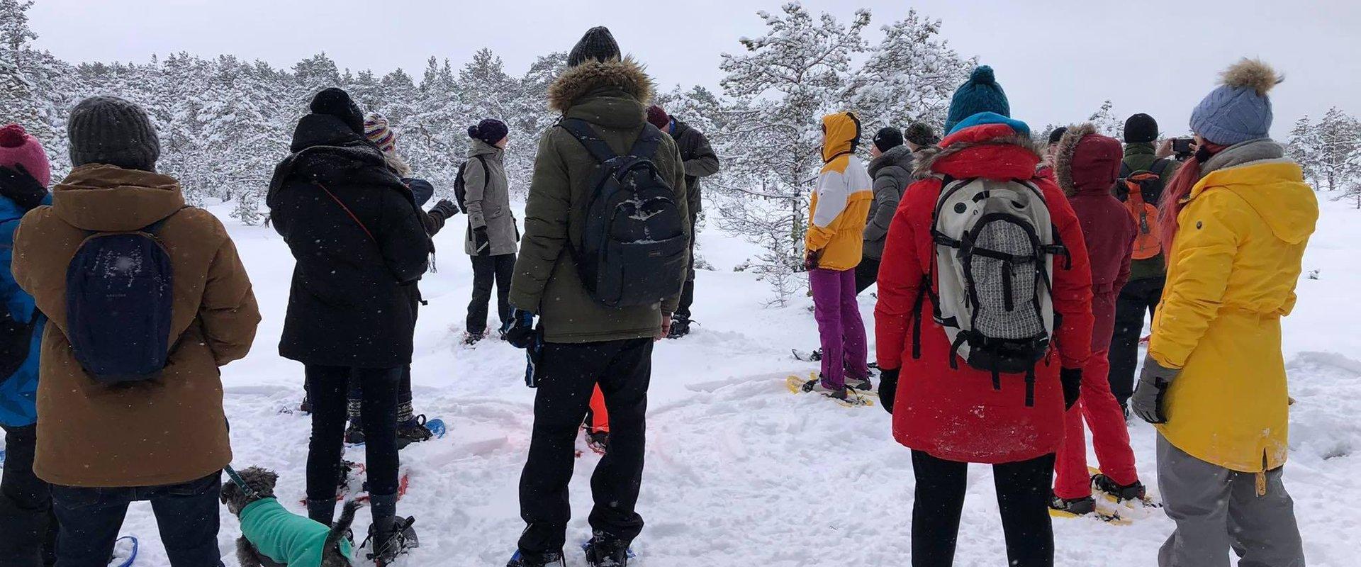 Räätsamatkad Männikjärve rabas