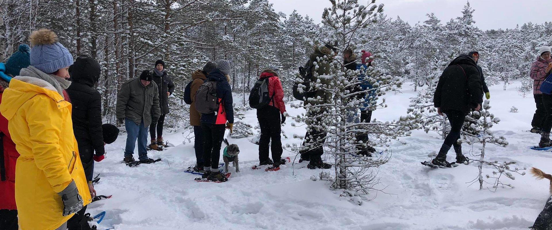 Räätsamatkad Männikjärve rabas