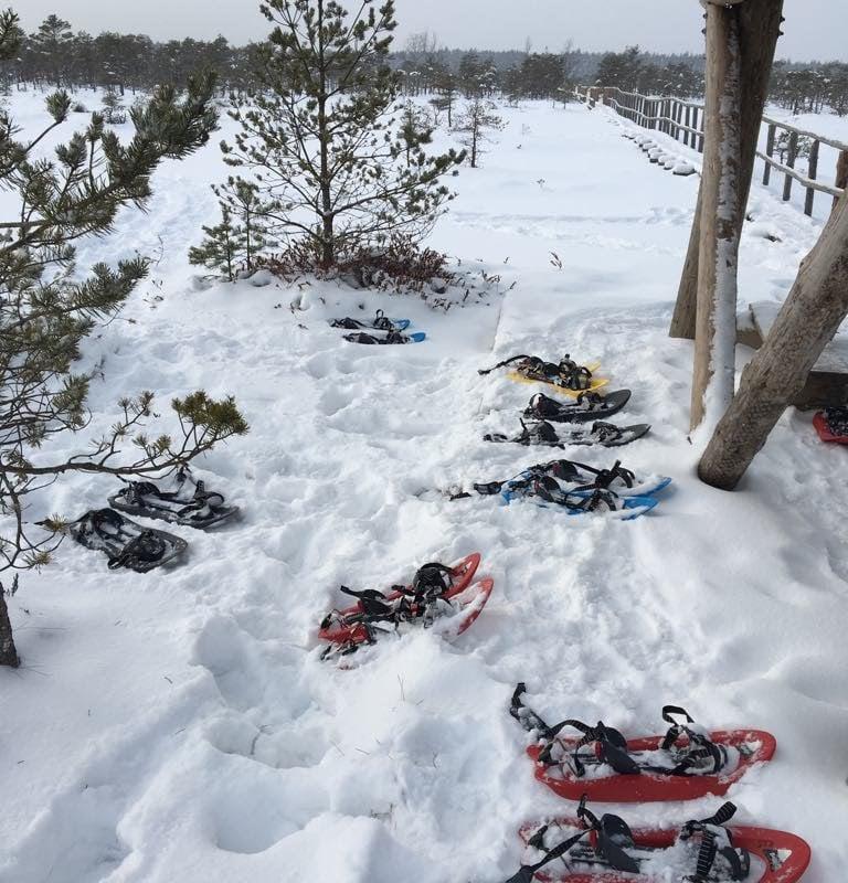 Räätsamatkad Männikjärve rabas
