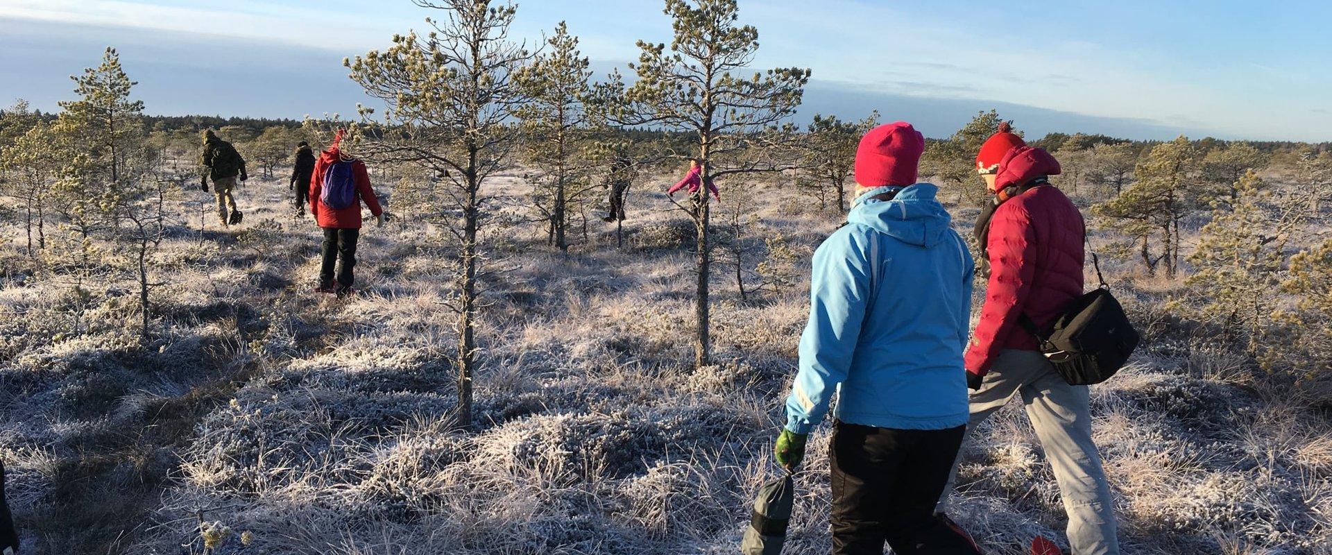 Räätsamatkad Männikjärve rabas