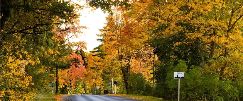 Roela looduse õpperada