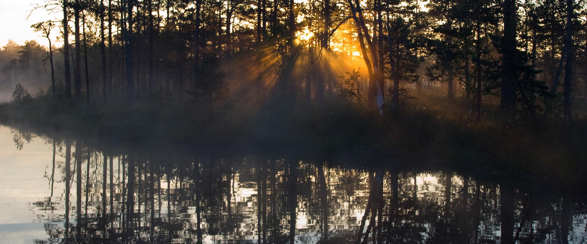 Roela paisjärv päikeseloojangus