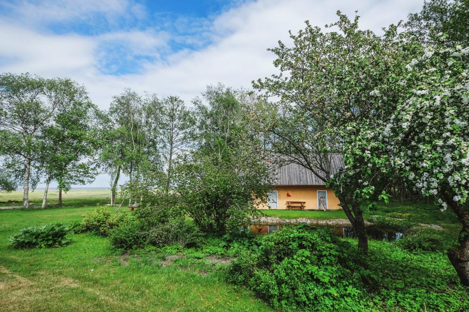 Mare accommodation in Ranniku Farm