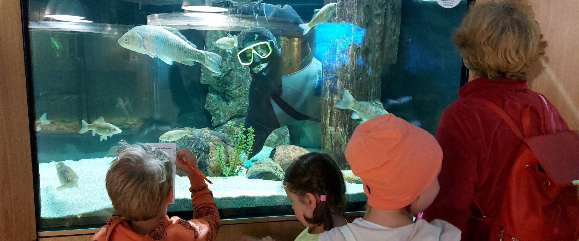 Lake Museum, aquarium and children exploring the fish