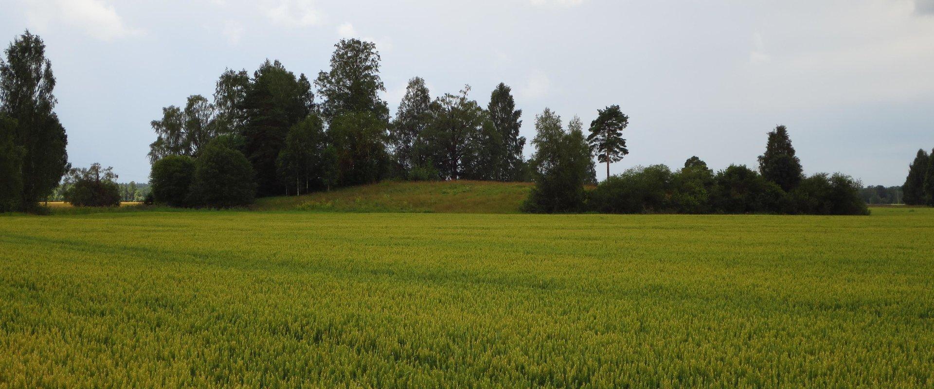 Steinzeit-Siedlung Lammasmäe