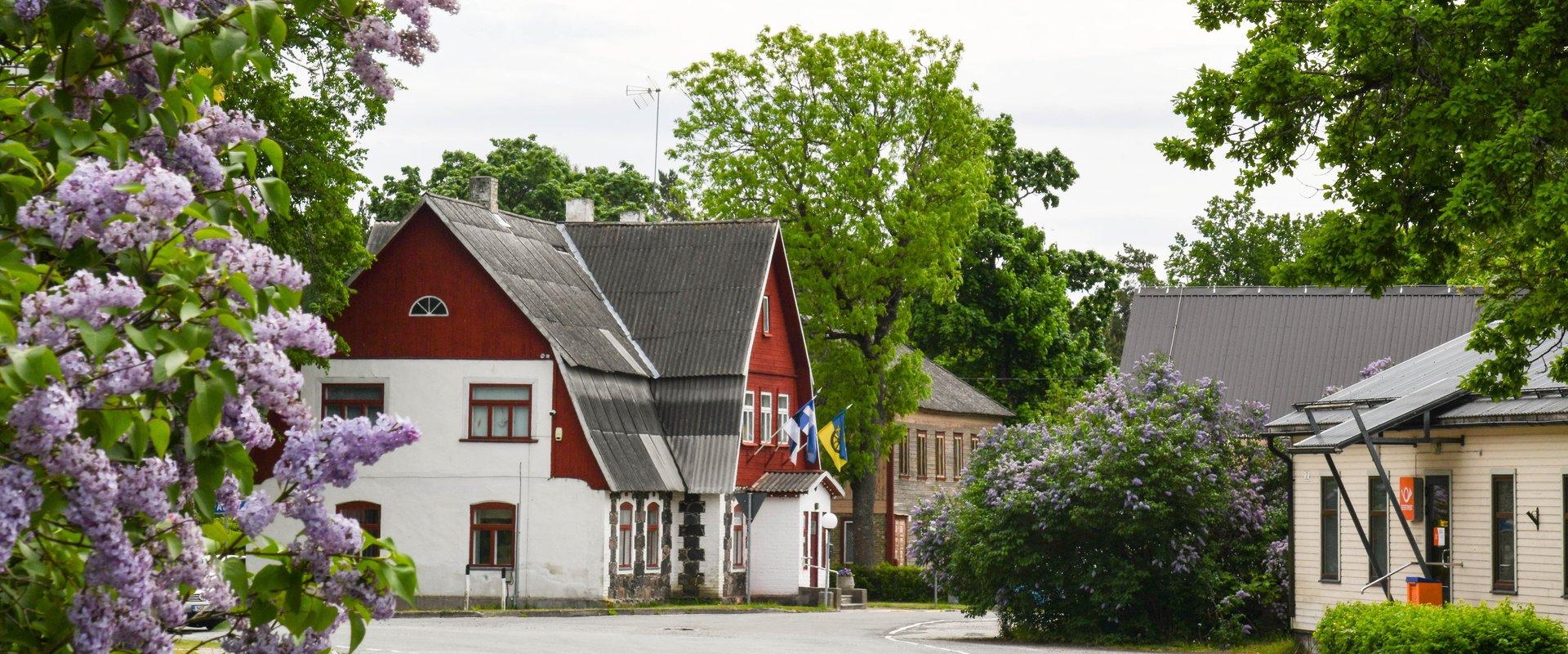 Guided Tour of Tõstamaa Small Town "One Slow Day in the New and Old Tõstamaa"