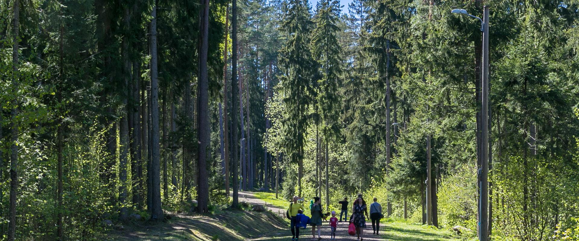 Vooremäe Tervisespordikeskuse terviserajad suvel