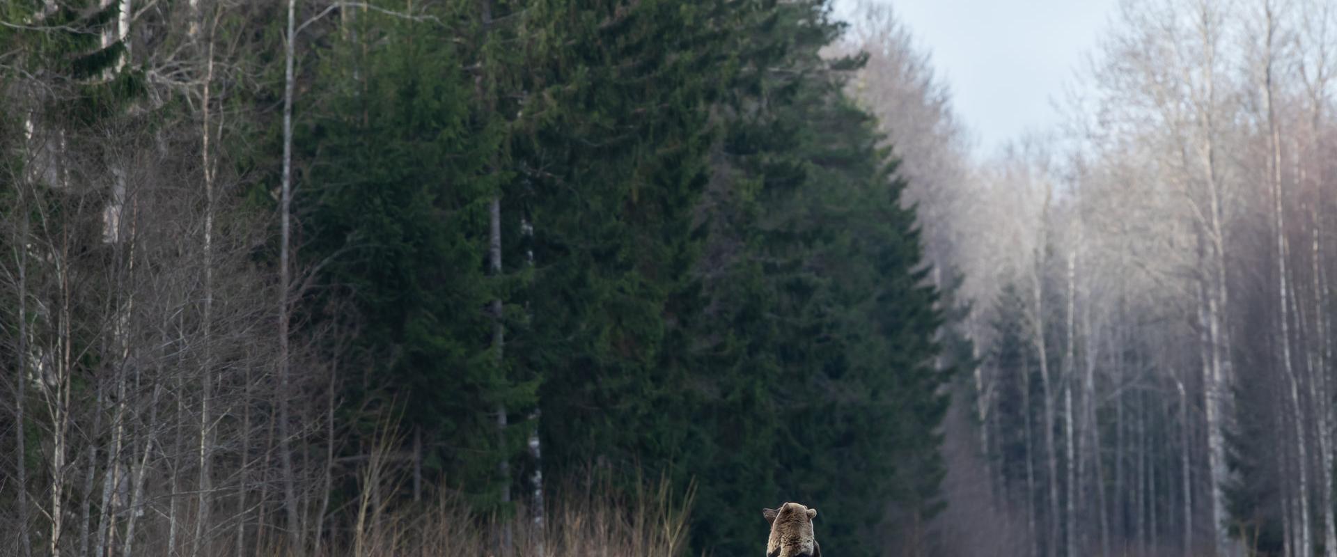 Loodusfotograafia algtõed- retk loodusfotograafiga