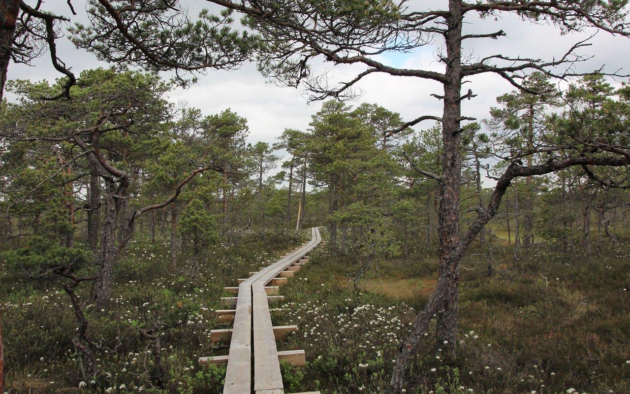 Matkarada üle raba Simisalust Matsimäele