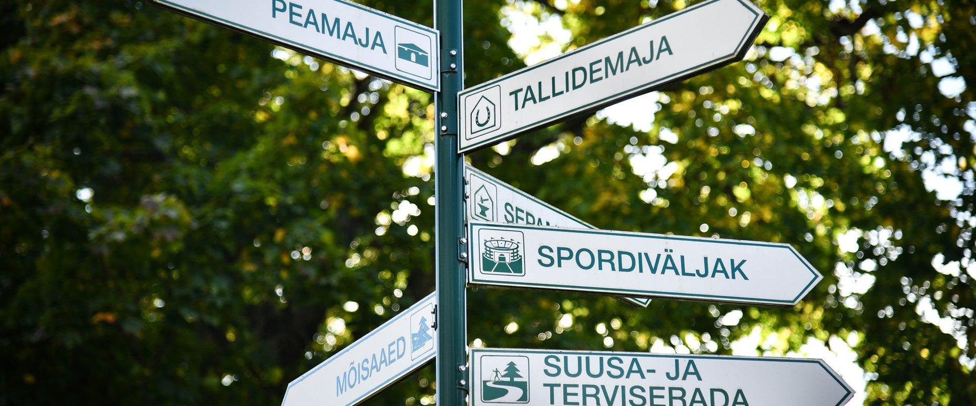 Guided Tour of Tõstamaa Small Town "One Slow Day in the New and Old Tõstamaa"