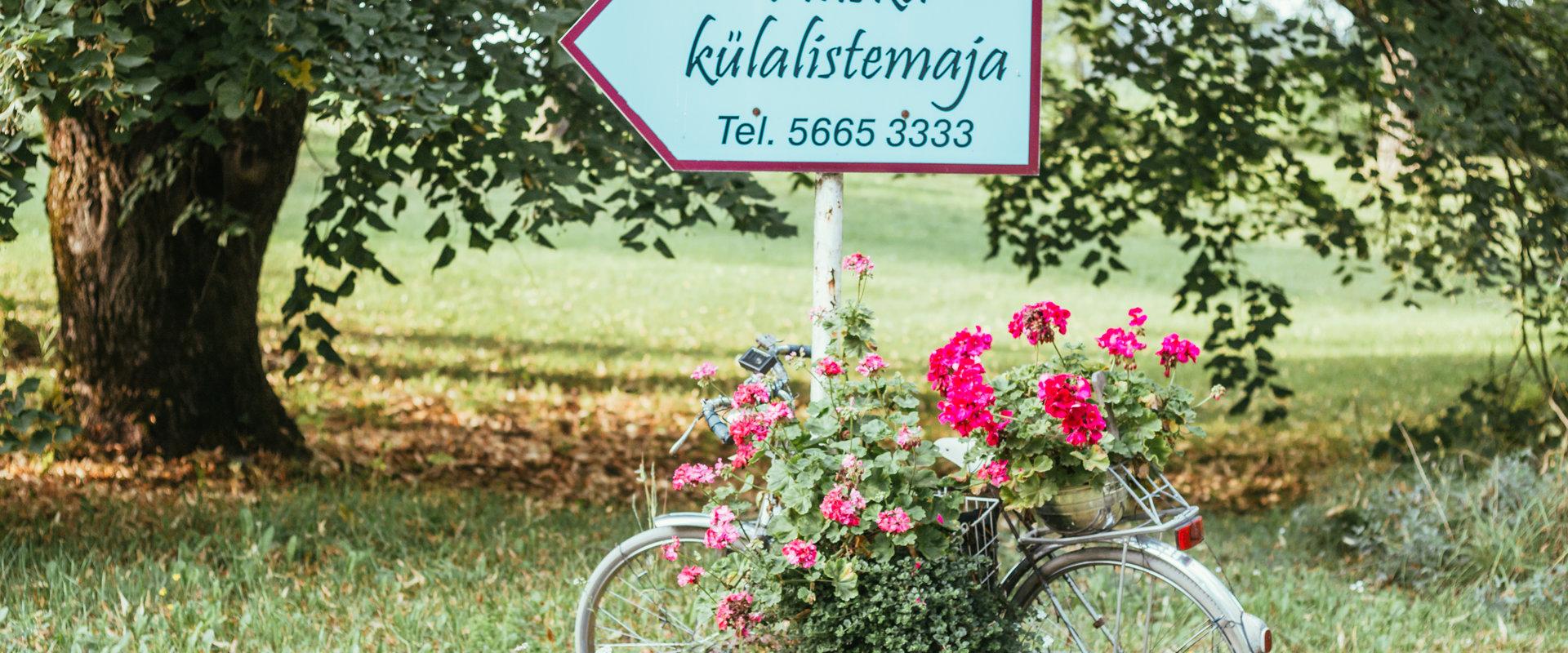 Pinska Külalistemaja