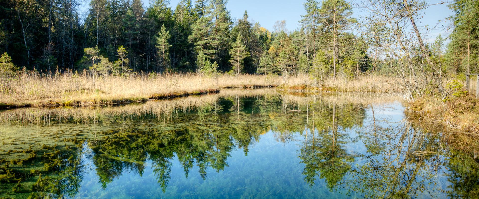 Aegviidu Siniallikad