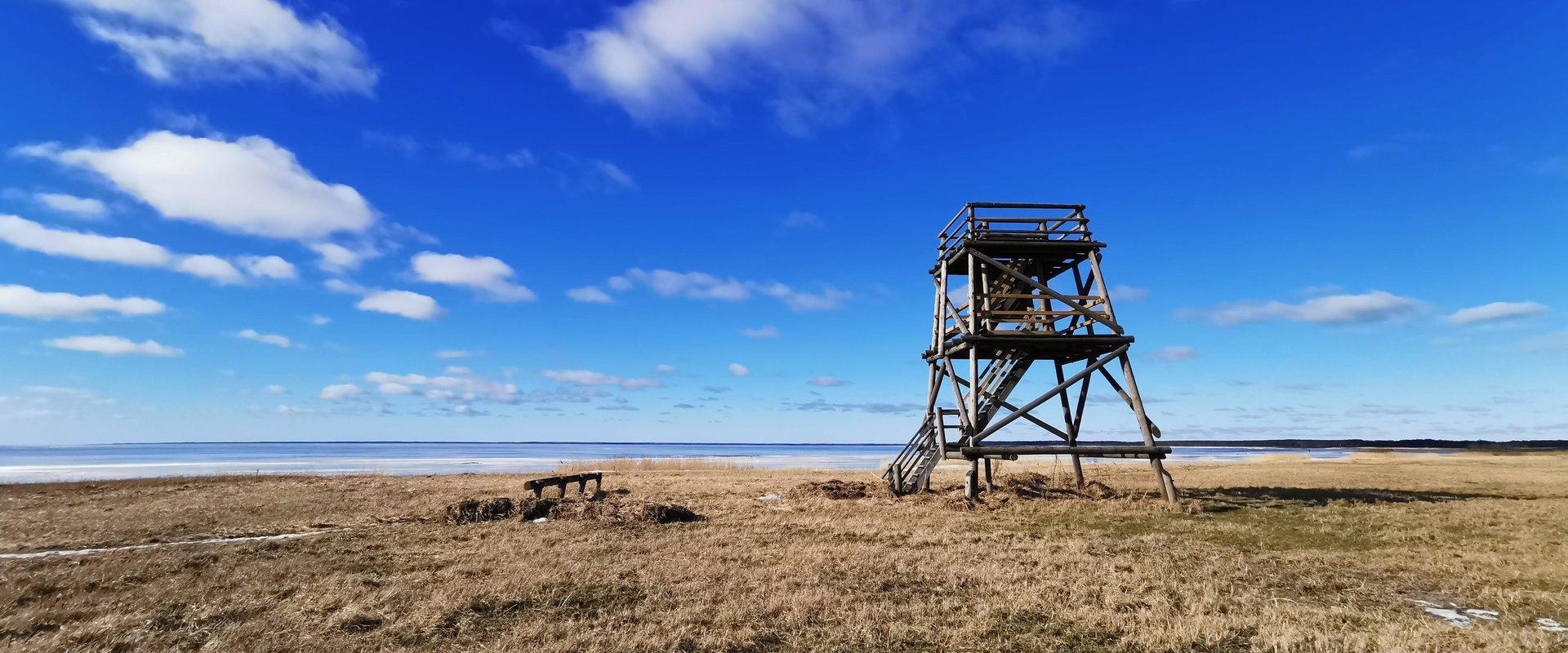 There is an 8-metre birdwatching tower in the Vana-Pärnu meadow on the border of the river and the sea. You can see more than 100 different bird speci