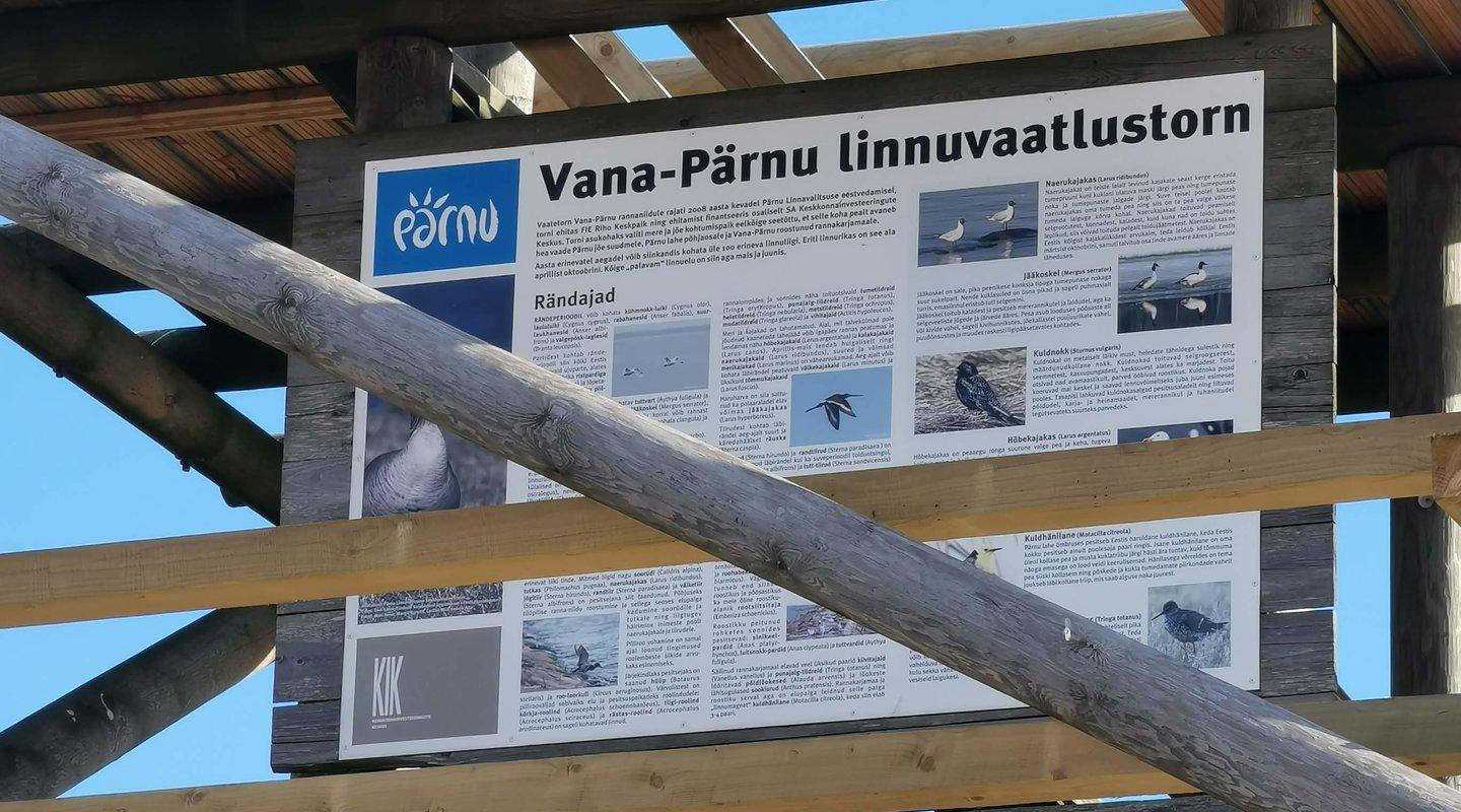 Vana-Pärnu linnuvaatlustorn