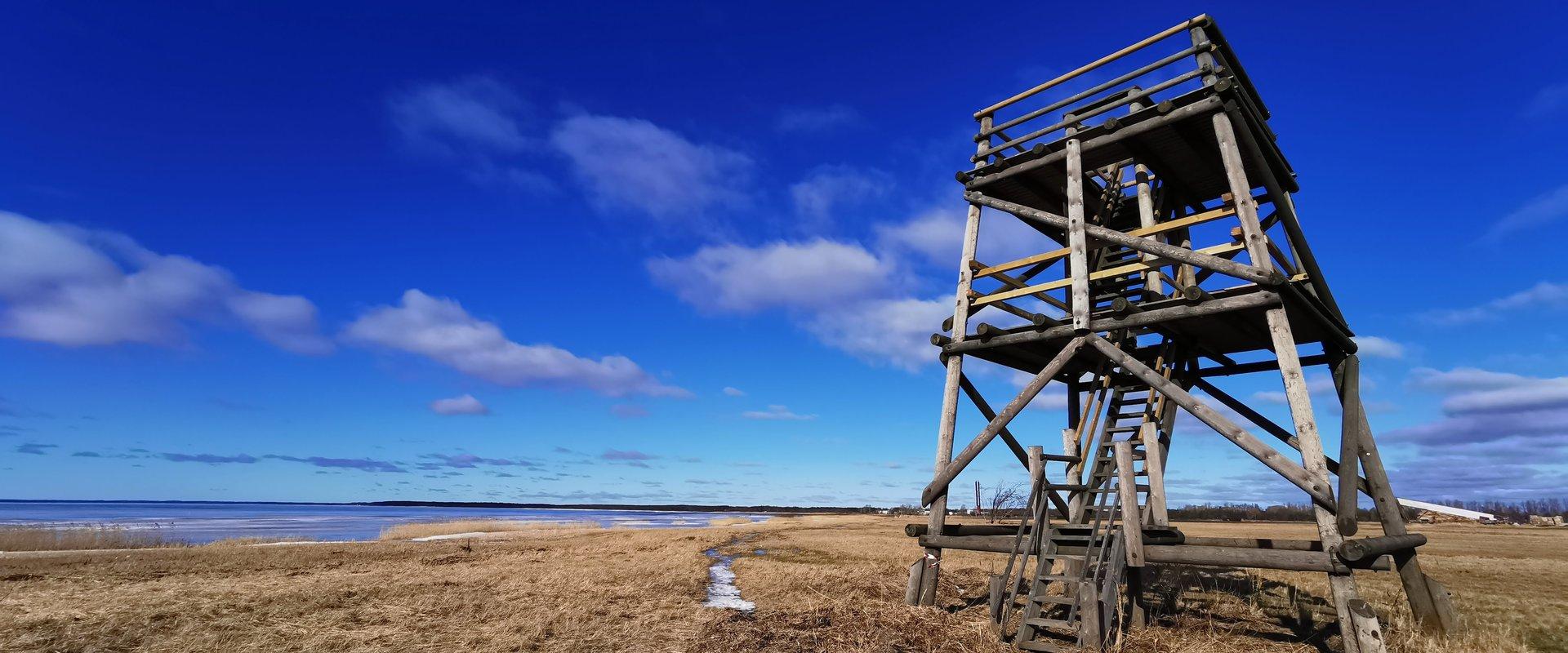 Vana-Pärnu linnuvaatlustorn