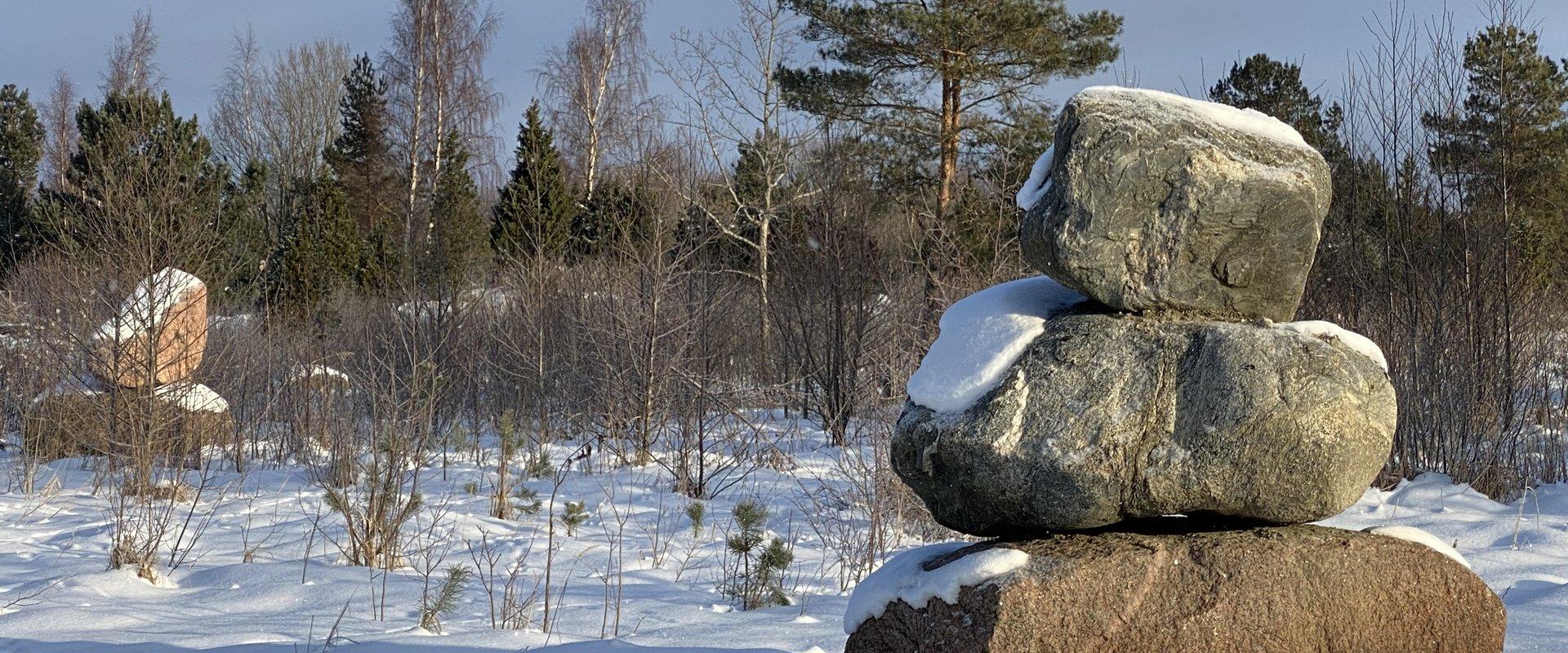 Talv Ristimarja loodusrada Värati poolsaarel