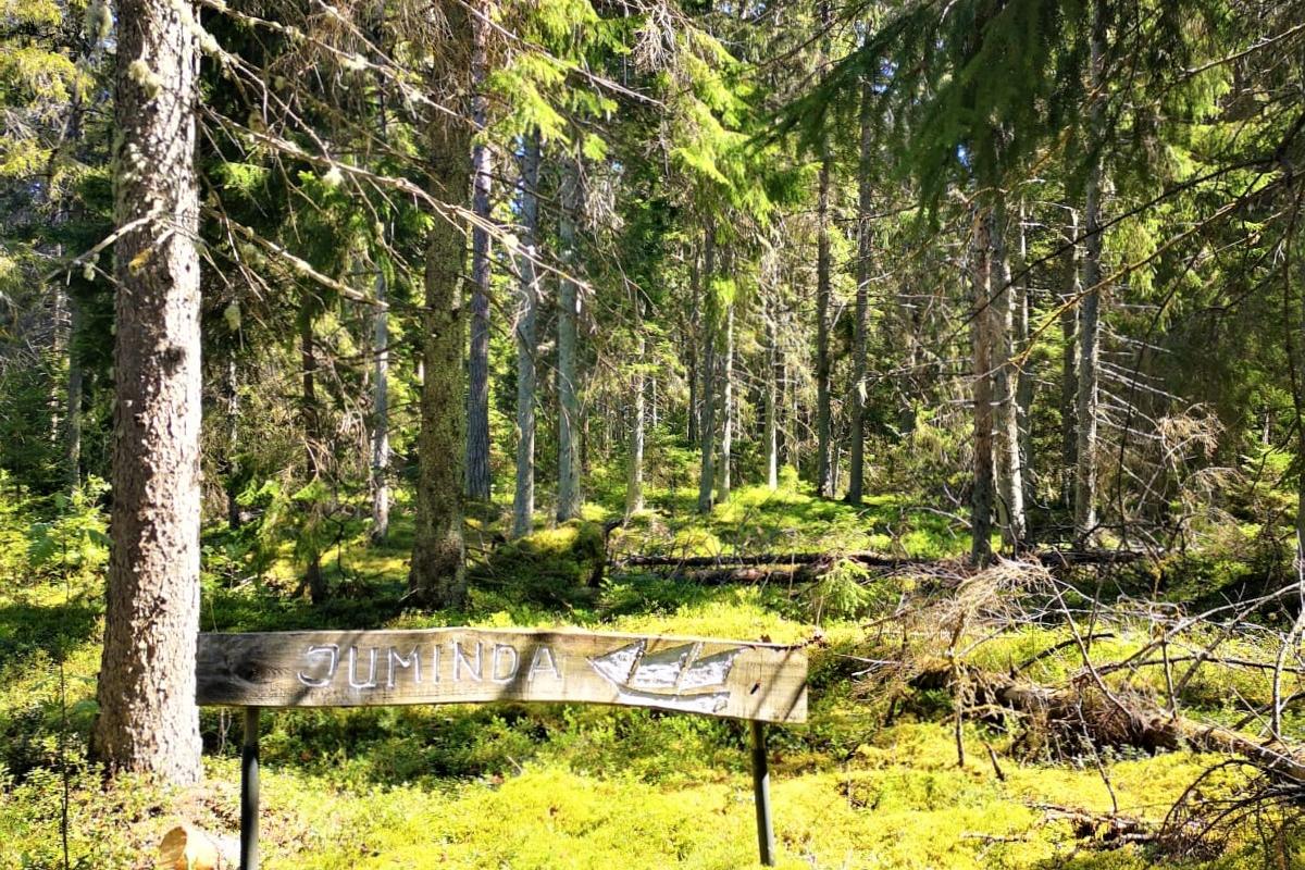 Rattaretk: Juminda poolsaare võlud ja valud