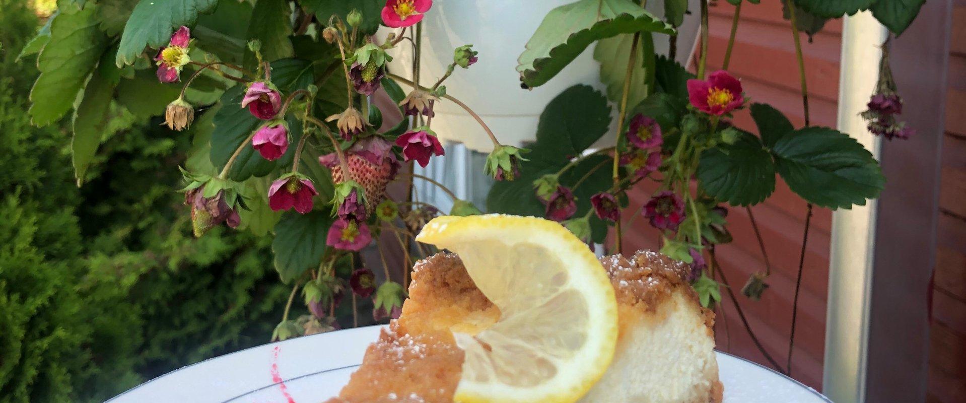 Schmackhafte heimischer, frisch gebackener Kuchen im Teehaus in Emmaste.