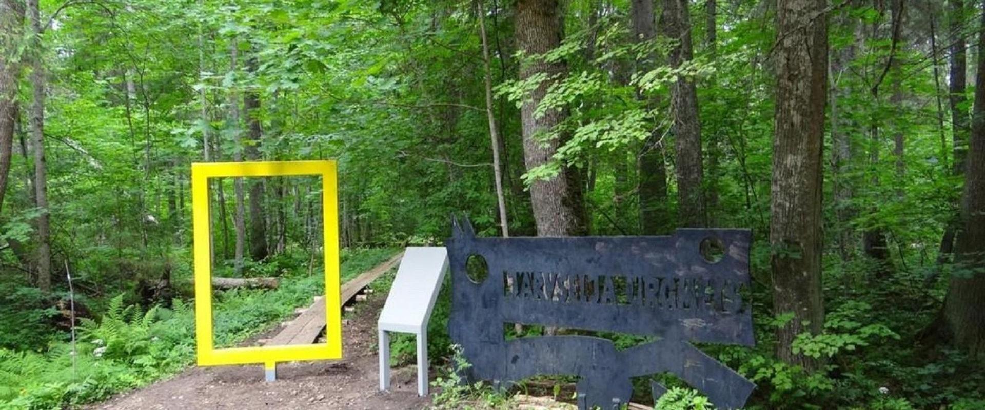 Järvselja nature study trail introduces the forest surrounding the centre of forestry and research. The trail is diverse and passes through a number o