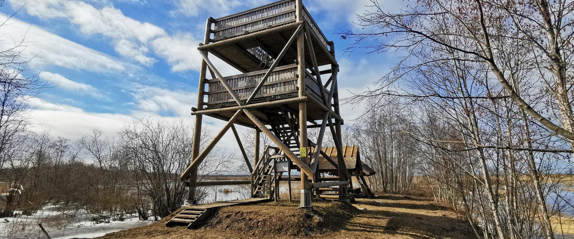 The 8-metre Penijõe observation tower has an open platform and there are benches at the top of the tower. The tower offers a view of the 3,000-hectare