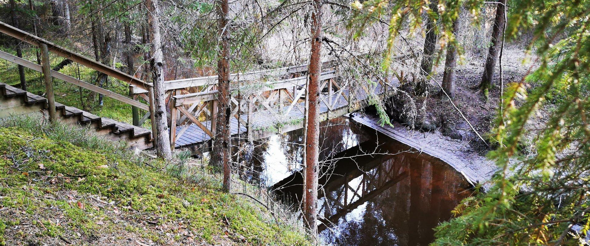 Naturlehrpfad der Staatlichen Forstverwaltung in Kolga