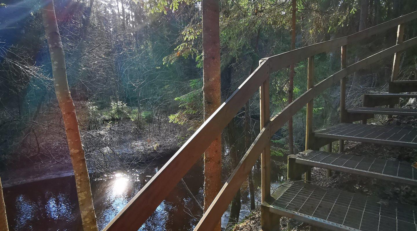 Naturlehrpfad der Staatlichen Forstverwaltung in Kolga