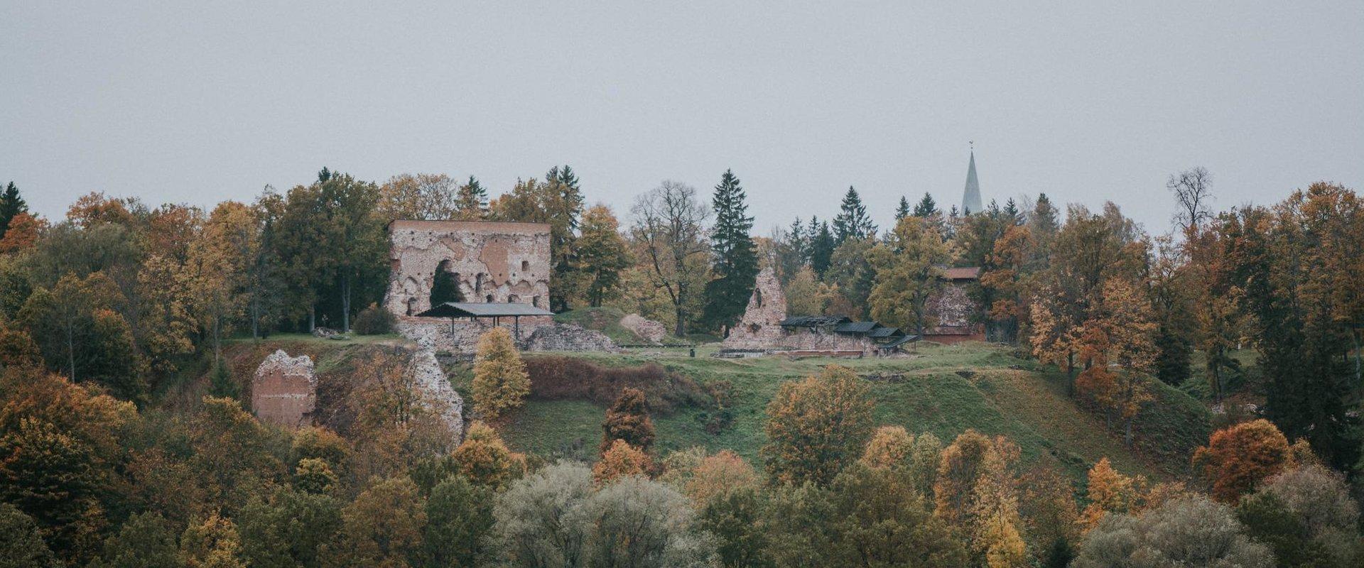 Ruins of the Viljandi Order Castle