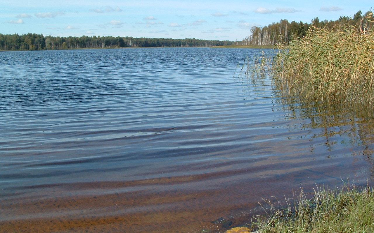 Ruhijärv