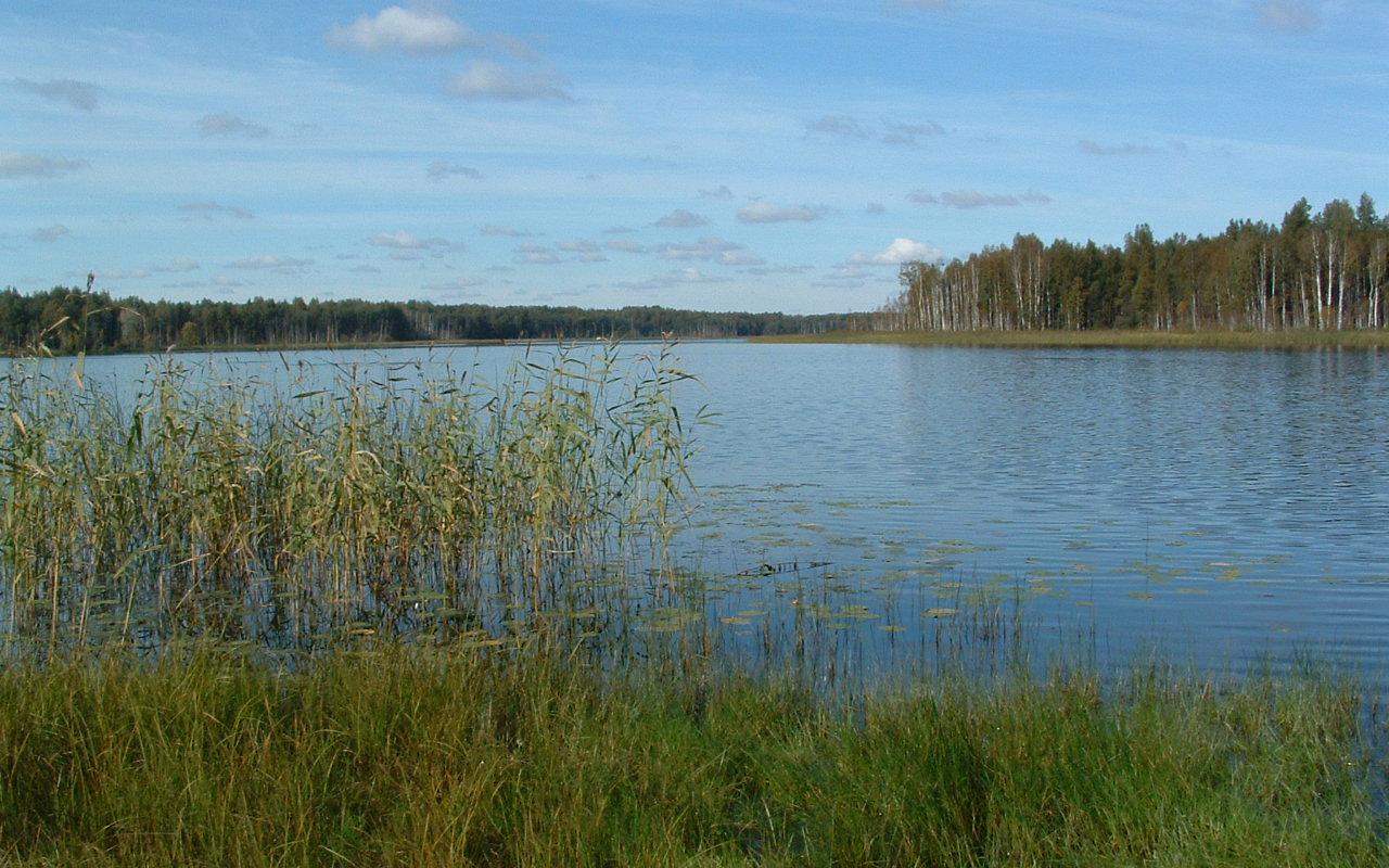 Ruhijärv