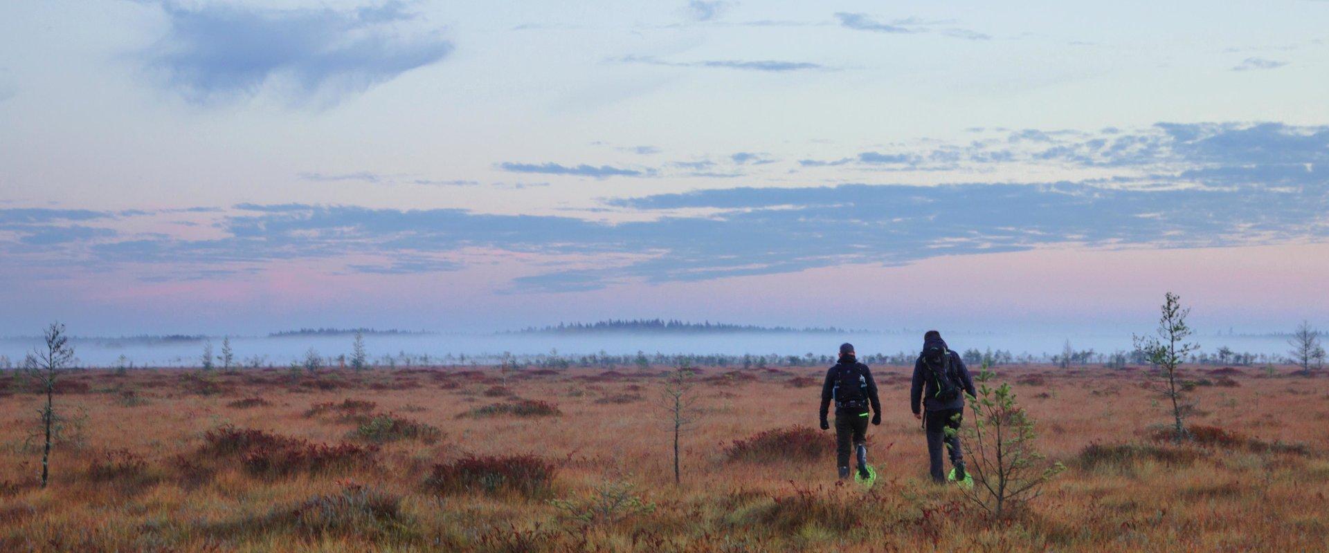 Pārgājiens ar sniega kurpēm Mēnikunno purvā