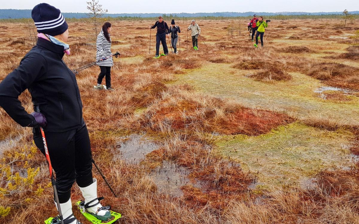 Pārgājiens ar sniega kurpēm Mēnikunno purvā