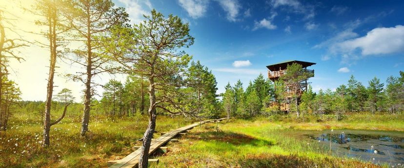Lahemaa rahvuspark ja RMK külastuskeskus