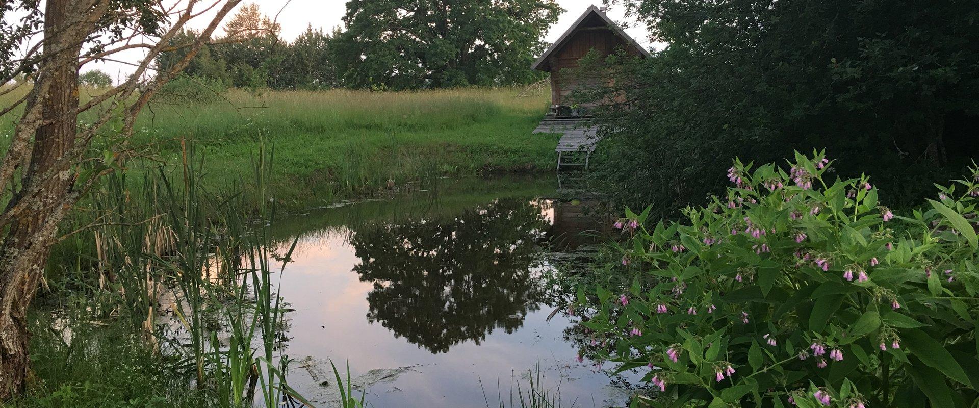 Luksuslik ökospaapäev kahele Hundiallika keskuses Võrumaal