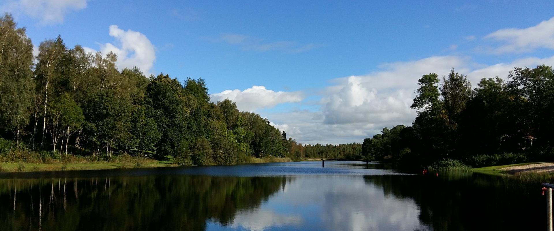 Rava oak grove and lake