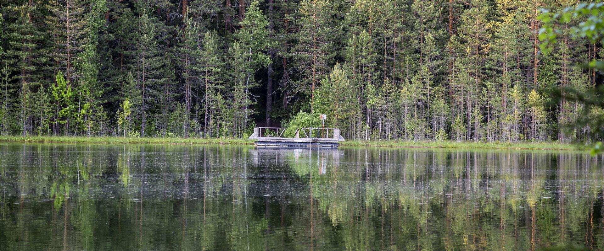 Reflection on Lake Vaikne