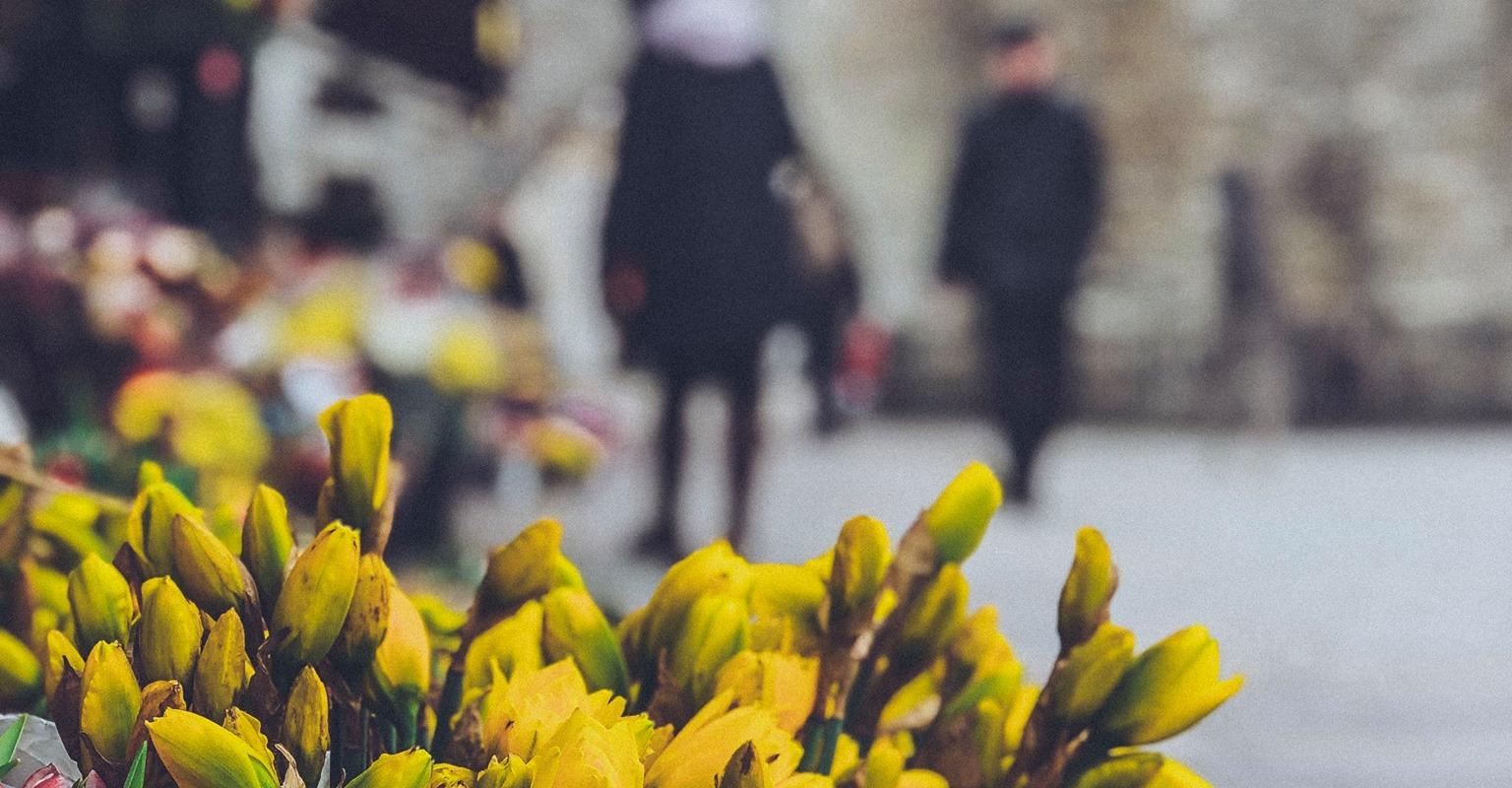 Viru tänava lillekioskid