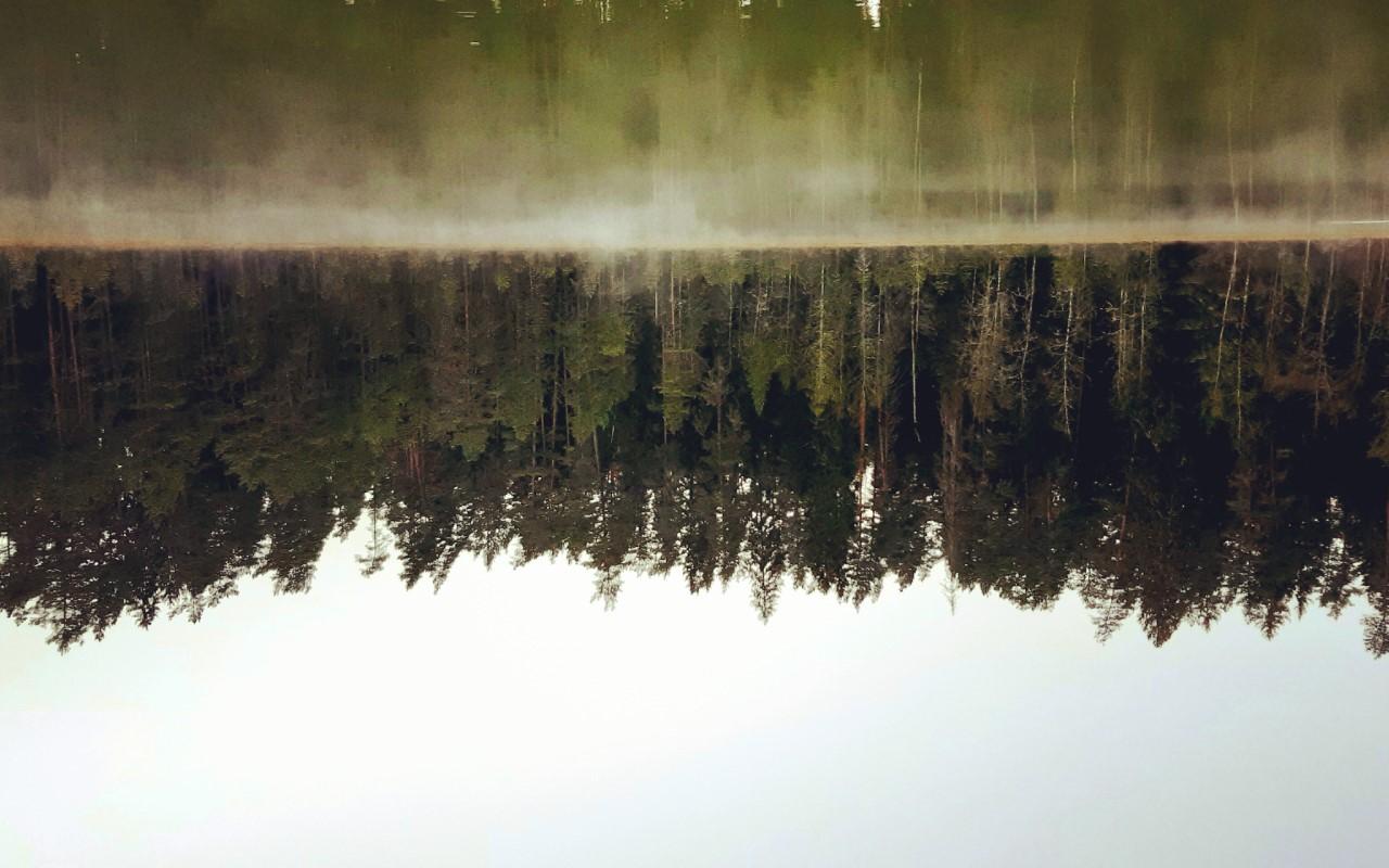 Misty Lake Vaikne