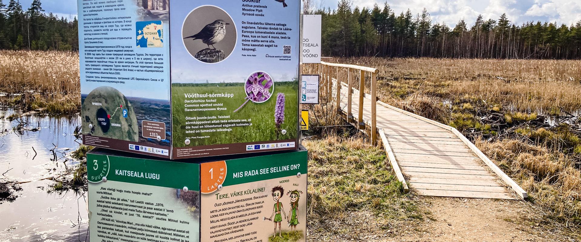 Tudu bog lake and forest hut