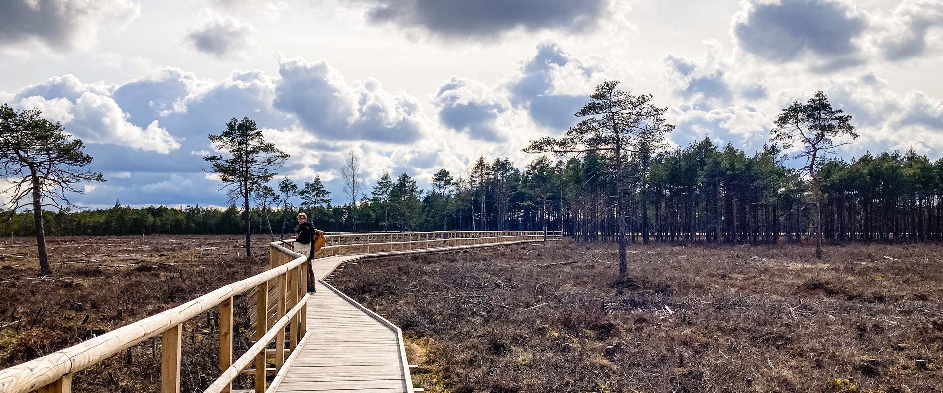 Tudu bog lake and forest hut