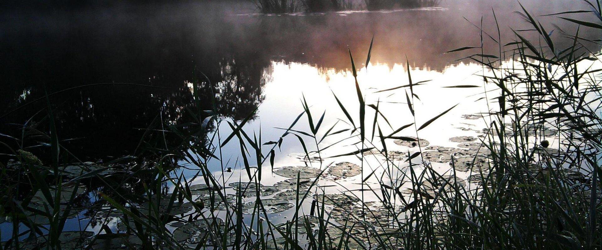 Einzigartige Sauna der Villa River Rose