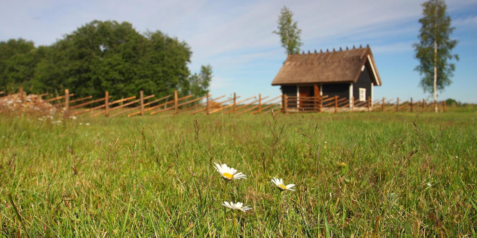 Vaade Tänava talu maadele