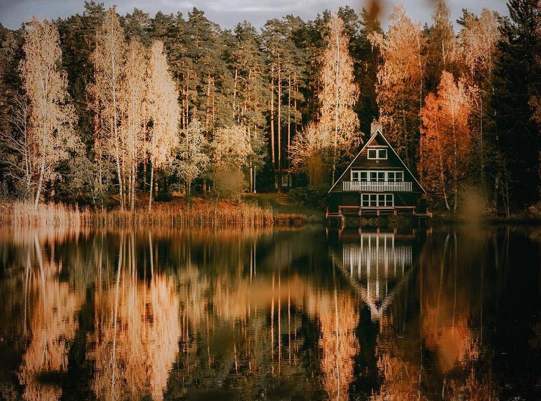 Viitna looduse õpperada