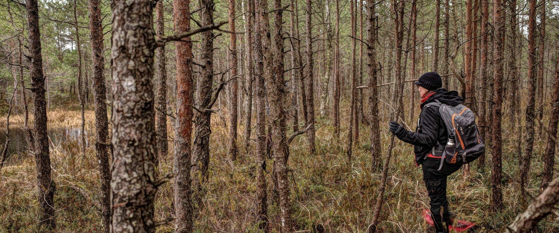 Räätsamatk kunagises pühas Hiiesoos matkajuhiga