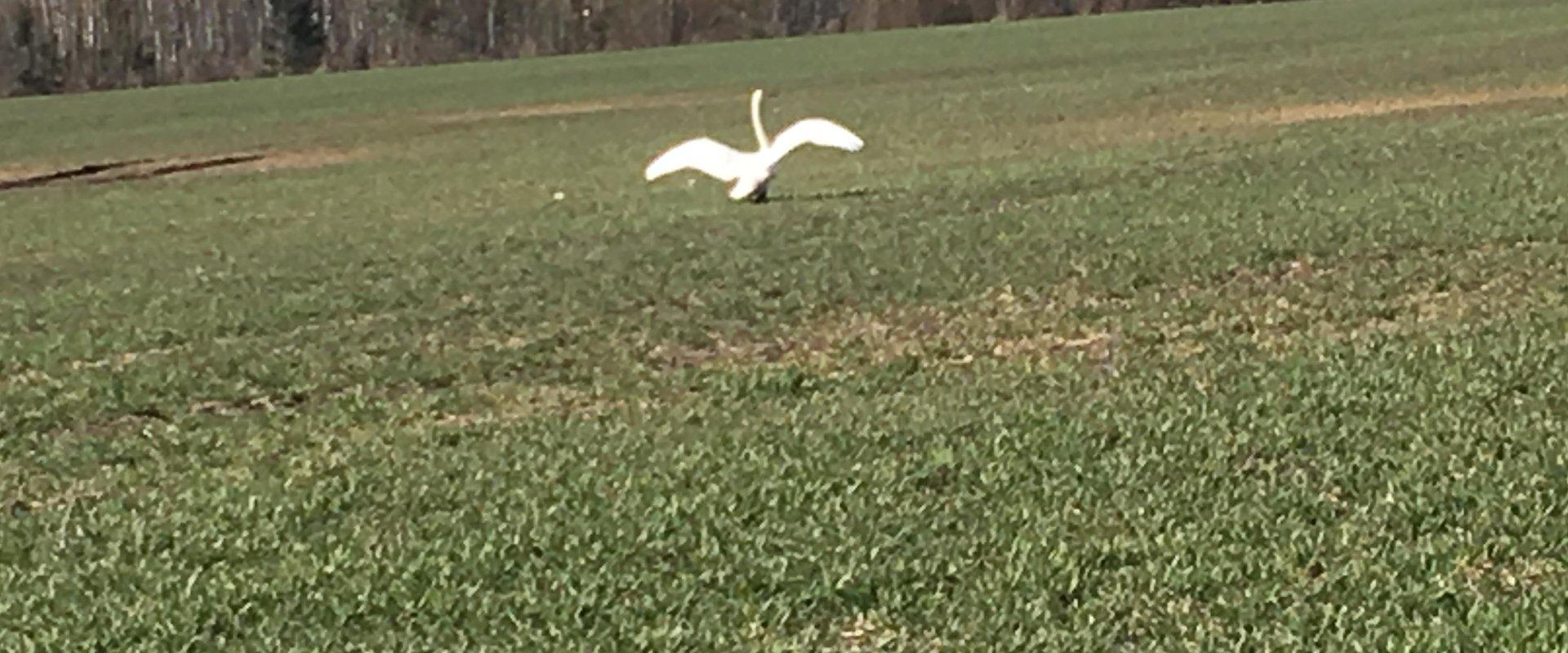 Raamatu puhkemaja kolmepäevane puhkus koos kanuumatkaga
