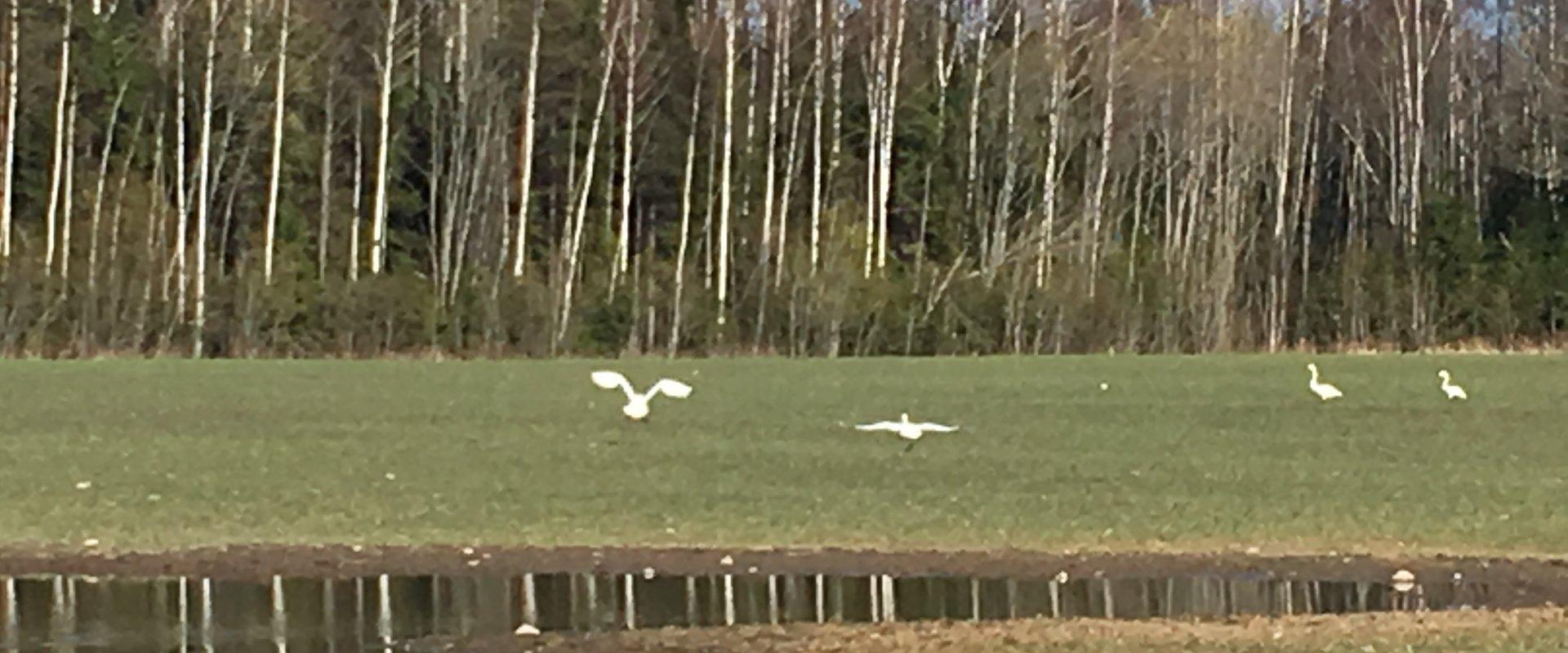 Raamatu puhkemaja kolmepäevane puhkus koos kanuumatkaga