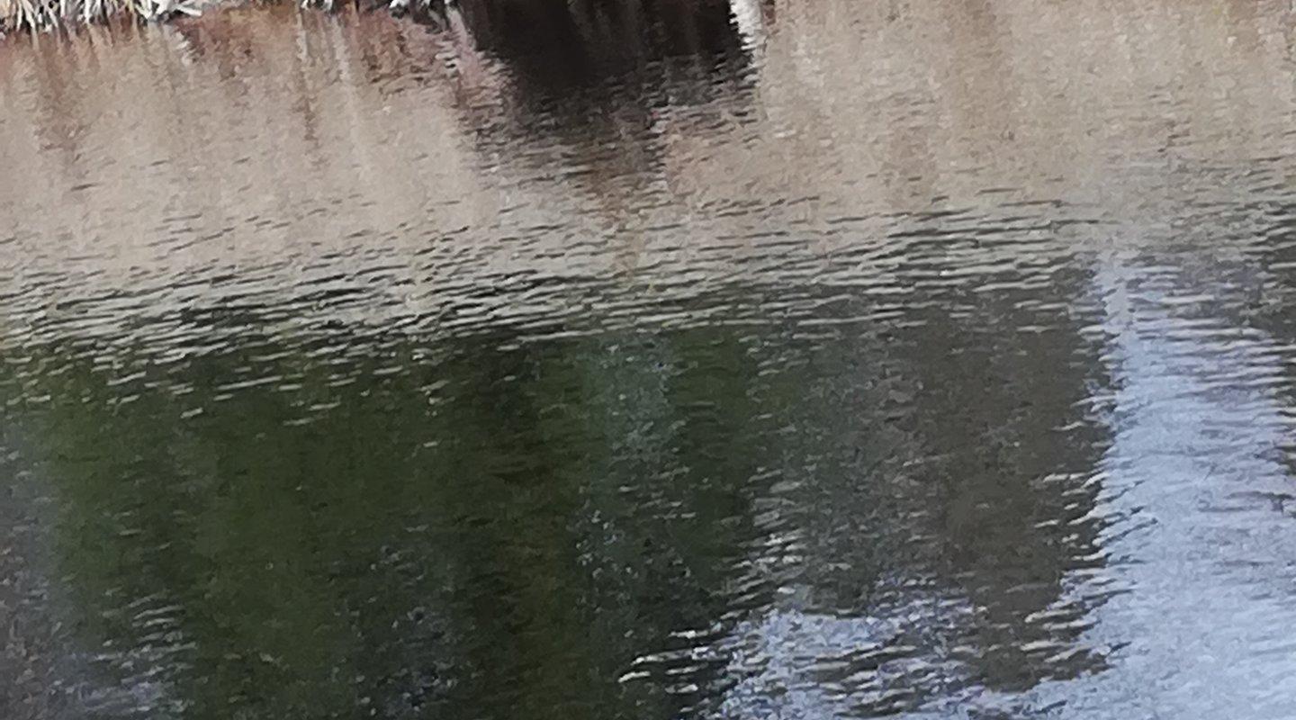 Raamatu puhkemaja kolmepäevane puhkus koos kanuumatkaga