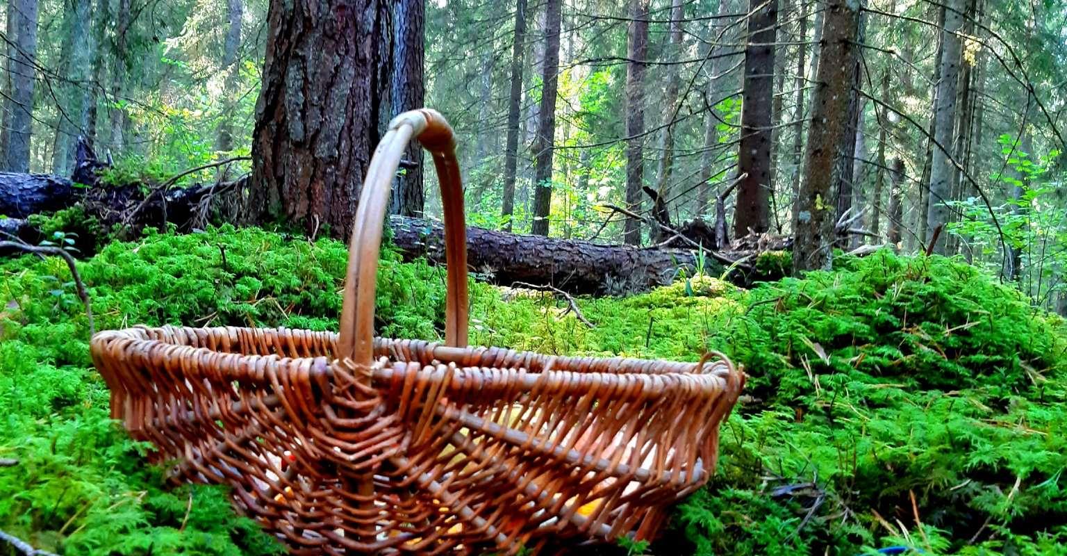 Vapramägi läbi legendide ja esivanemate pärimuste